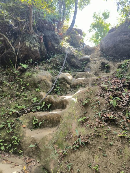 20251018微笑山線：【二格山系】皇帝殿稜線段2918635