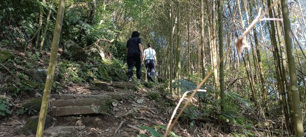 20220312_馬那邦山 細道邦山南峰 細道邦山1637047