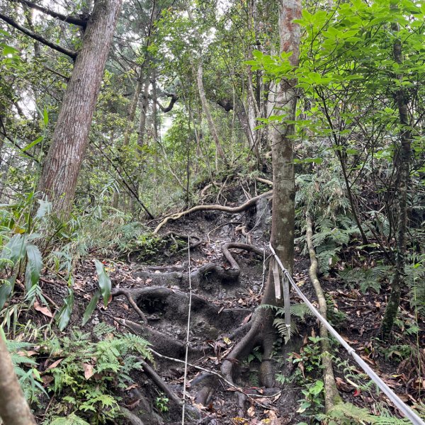 20250421_向天湖山步道（苗栗小百岳）2855806