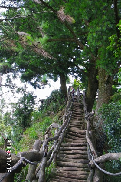 20160703_大坑5-1步道872758