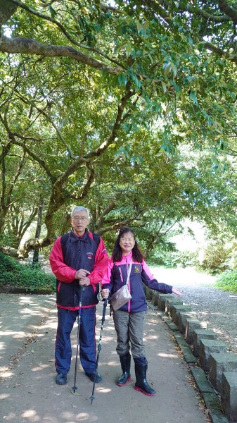 【臺北大縱走 2】【台北-臺灣百大必訪步道】湖光山色的二子坪步道、陡上陡下的大屯山西峰1338028