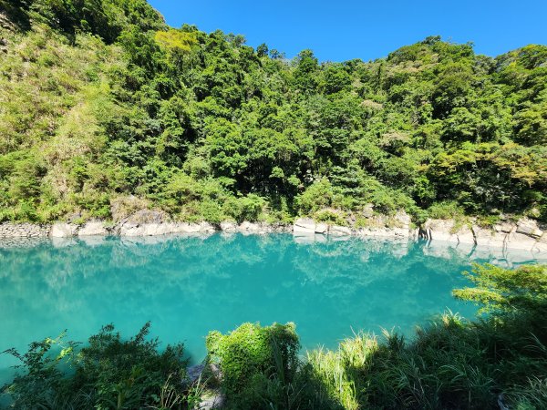 新北烏來｜內洞國家森林遊樂區步道群2904752