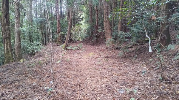 雪見遊戲區盡尾山二本松山2702692