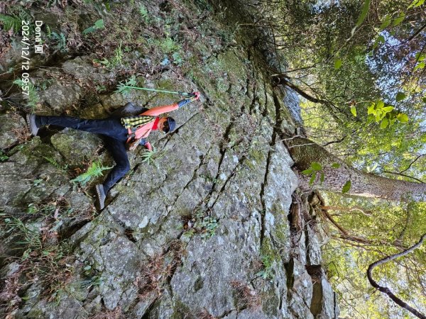 【谷關七雄】波津加(H1771.6m)肉腳配速成功2670426