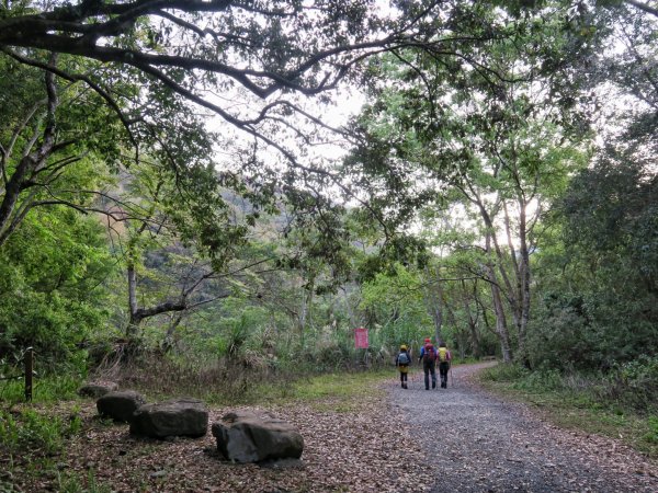 虎山 健行 溫泉 美食一日行1638215