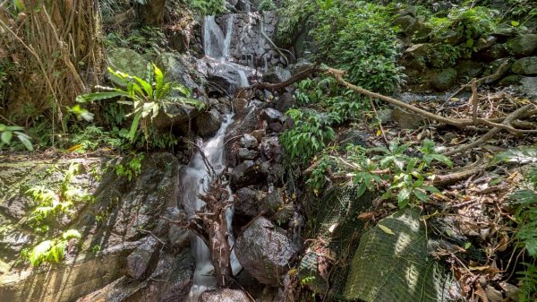 114.06.01溪山百年古圳-太平尾山+聖人崙之旅2801832