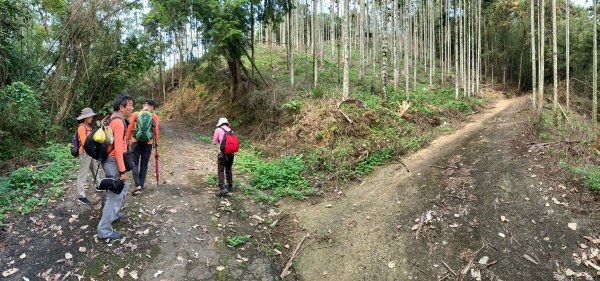 20260925南投銃櫃山-後尖山-土地公鞍嶺3128895