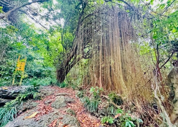 北壽山走壽山(小百岳#77) 龍泉寺起登出千光宮2934493