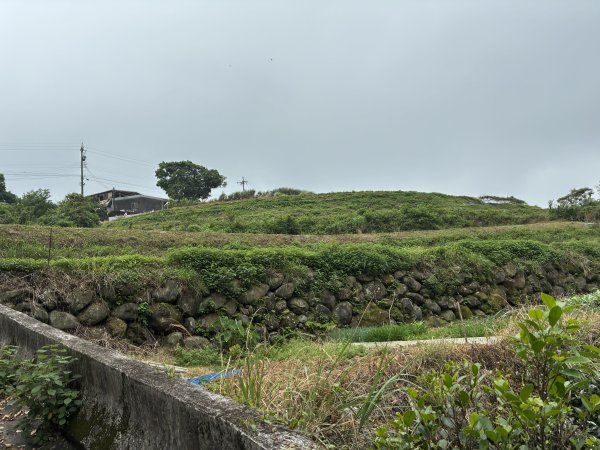 20250504-《探旅新北2025｜三芝定向越野賽全紀錄》2852446