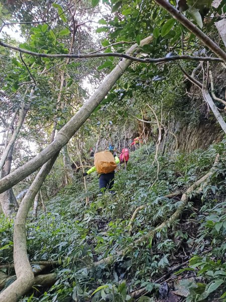 2024.12.29~31久久巢山走卓社大山2732045