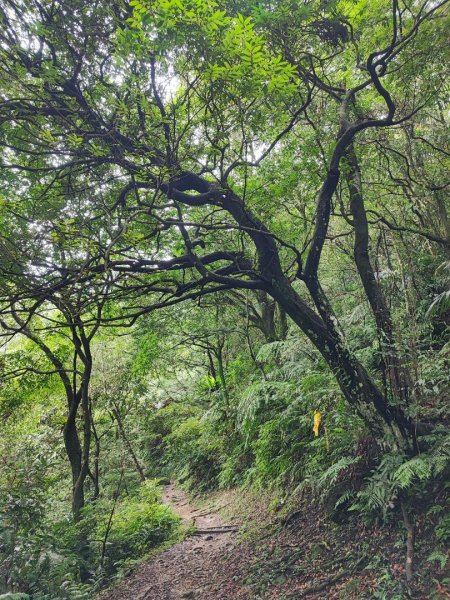 二格山-小百岳#17-台北市文山區2248459