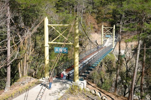 【新聞】全新武陵橋初春亮相 桃山步道藍腹鷴伴左右