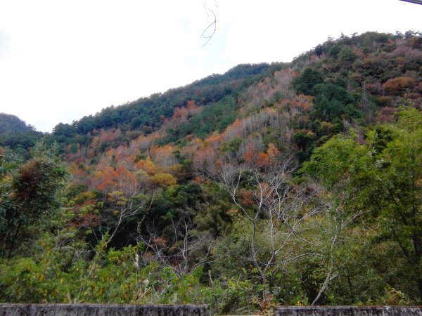 政府規劃第一條國家步道〜霞喀羅古道467745