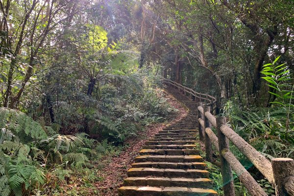 新竹橫山｜大崎崠古道｜冬日暖陽．橫山古道散策指南1574374