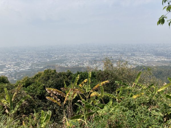 20230325三汀山2102685