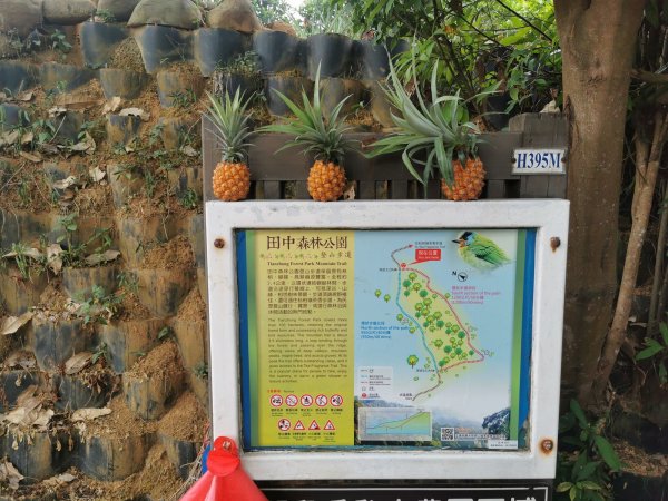 田中森林登山步道-依山稜線而建且景觀良好1048107