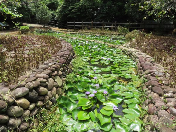 旱溪源頭自然生態區2878017