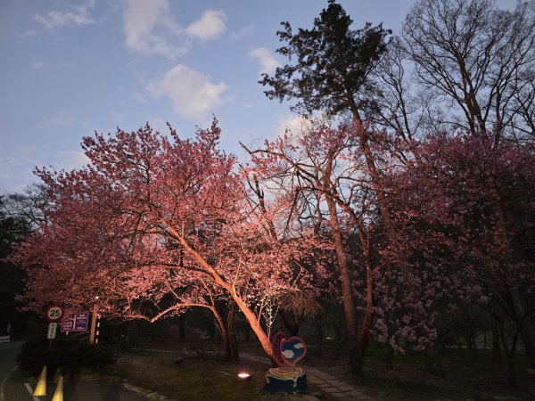 20250228 桃山+池有山2919192