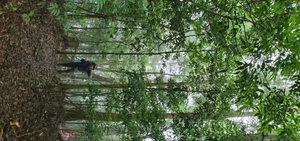 橫沙迪O型縱走_大雪山社區登山口2826543