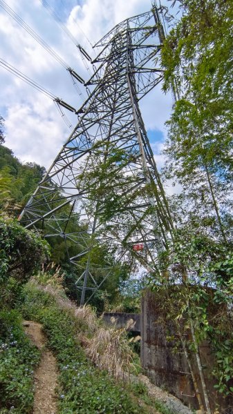 集集大山慢活行（孟宗竹林登山口）1627438