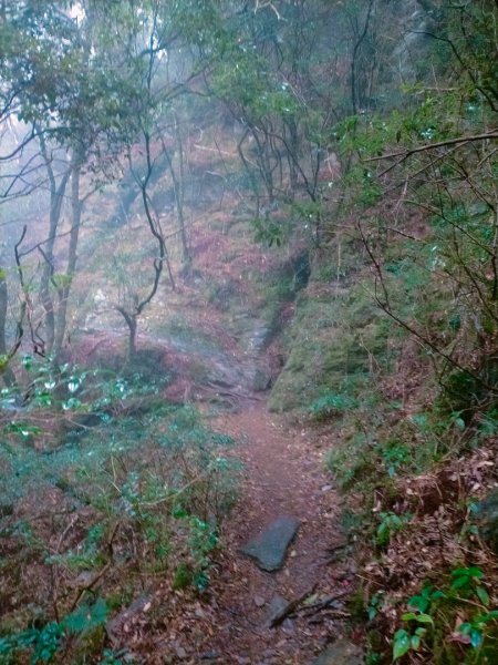 一日單攻北大武山2382340