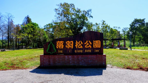 落羽松大道,龍潭大池2976184