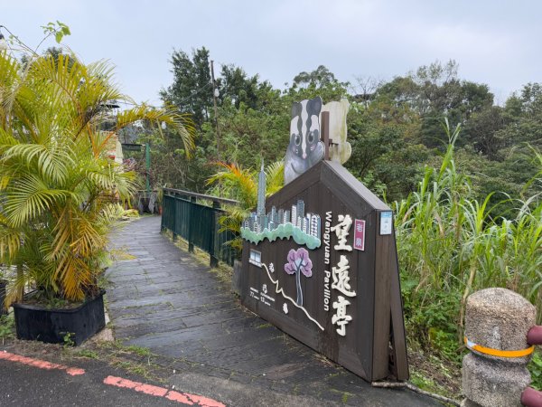 2025元旦 新店獅頭山（小獅山）順遊 高麗坑山，員潭子坑山，待荖坑山，樟湖山，樟山 出政大2680985