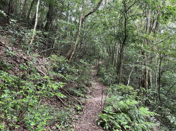 2025_0601 北插天山2802340