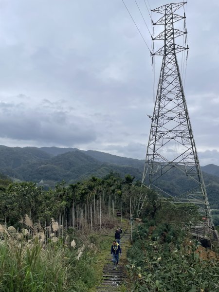 坪林烏窟子山2685869