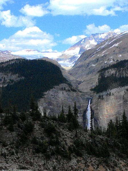 Iceline Trail (YOHO 加拿大幽鶴國家公園)2634596