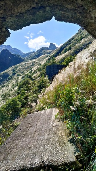 找一個晴天去爬山~金瓜石芒花之旅2962427