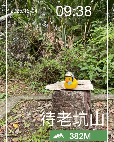 銀河洞越嶺貓空-新高麗坑山-銀獅縱走-猴山岳群峰+三條魚縱走2955913