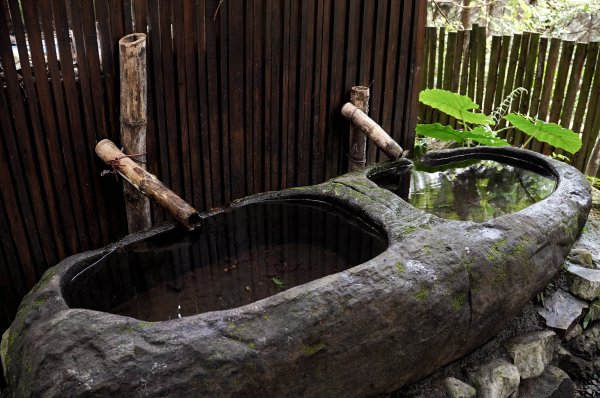 八仙山森林步道2865242