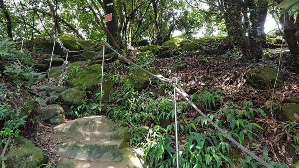 鳶山登山步道108/06/25687340