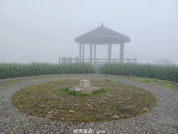 【台東。 太麻里】沒有金針花只有狹窄的山路。 小百岳集起來。 編號94小百岳-太麻里金針山步道1644010