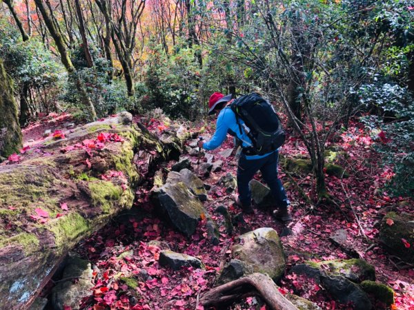 1091220稍來山主峰.南峰1214691