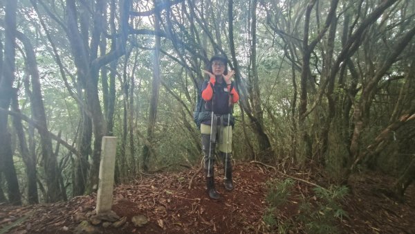 大混李棟重訓2883630