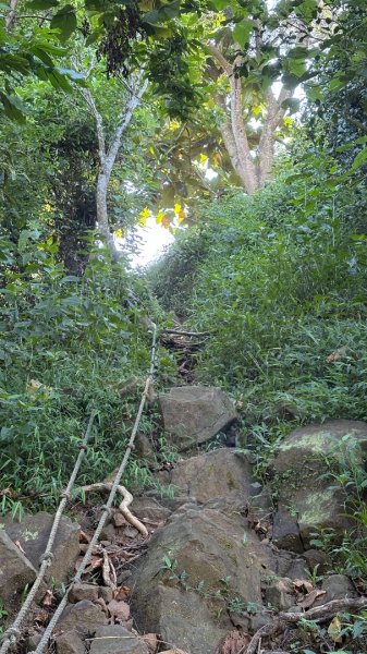 美濃雙溪樹木園（九芎林山2905629