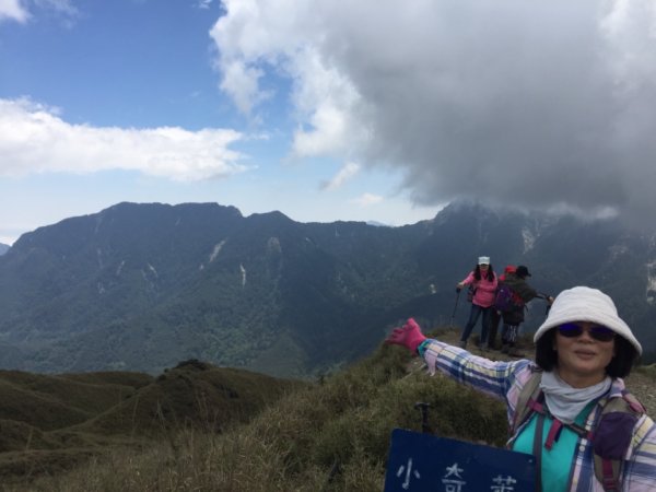 花呢！小奇萊登山步道965342