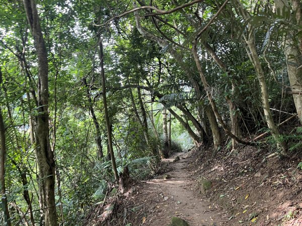 [皮皮獅探險隊-01/10] 2025_0706 六寮古道2830731