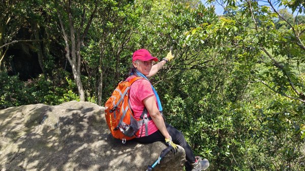 (姨婆趴趴走)第十四集:新竹關西油井窩山、彩和山、高甫山縱走2206444