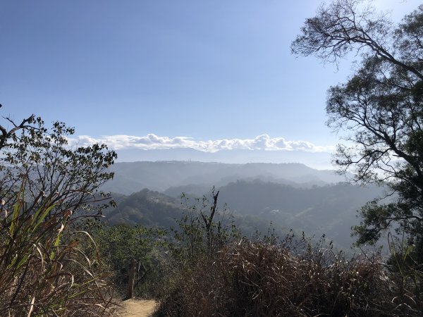 新田登山步道1295086