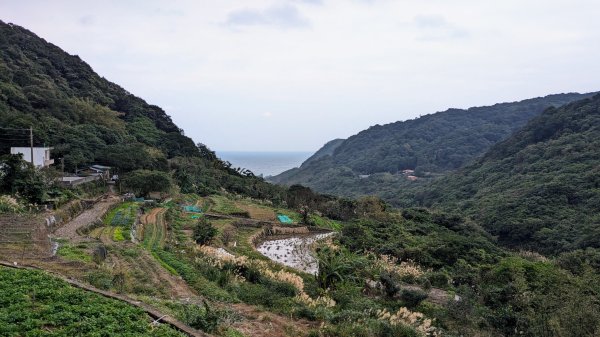 石門茶山步道2396572