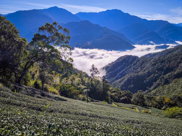 2025-12-21 武界山、獅凸魯山、橫屏山、橫屏山西峰2969677