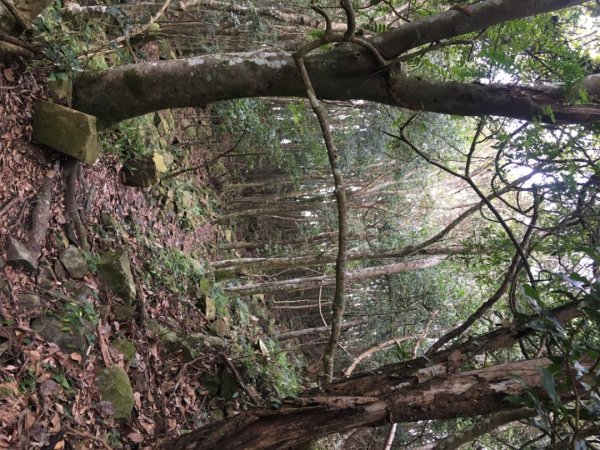 鳥嘴山（上島2708542