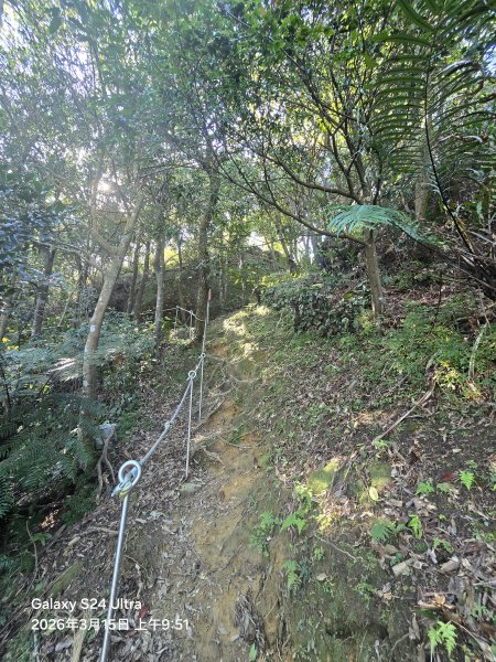2026-03-15微笑山線：【二格山系】皇帝殿稜線段3016104
