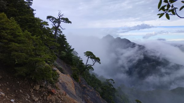 武陵四秀成兩袖(一秀加一宿)1142489