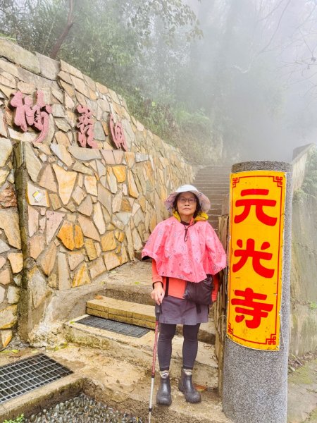 獅山 六寮古道 獅頭獅尾走一圈2992432