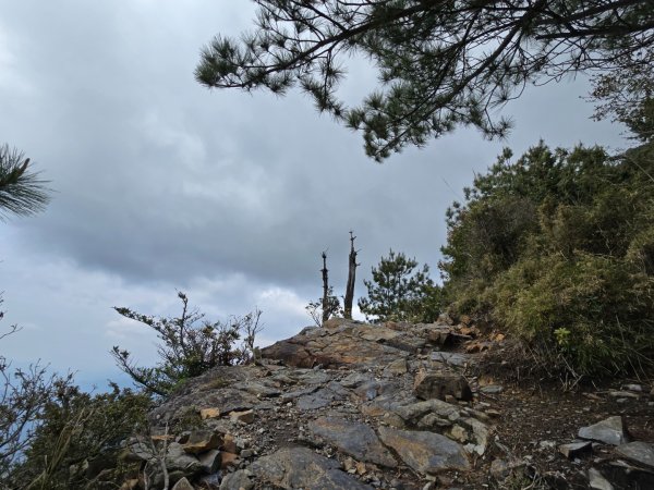 終於看到1000元背面的山景登頂玉山北峰／前峰2495839