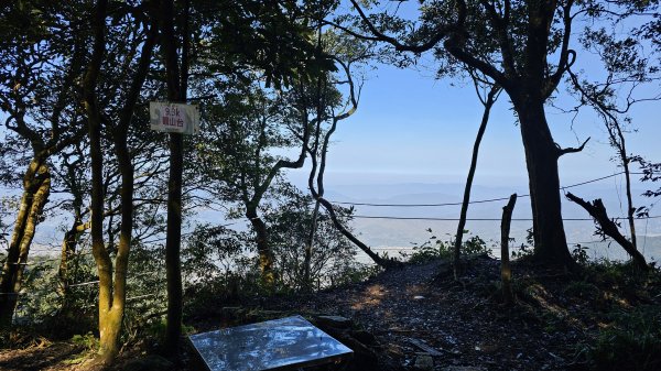 250210-九探魔王小百岳#073尾寮山。美美兔開學前收心操。2711458